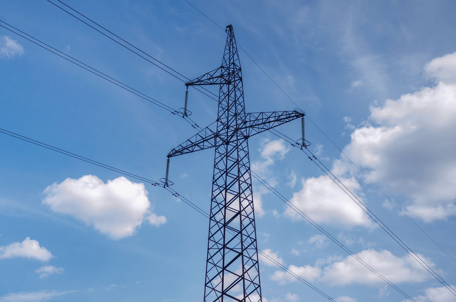 Government Electricity at Vantara Heritage